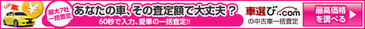 一括査定